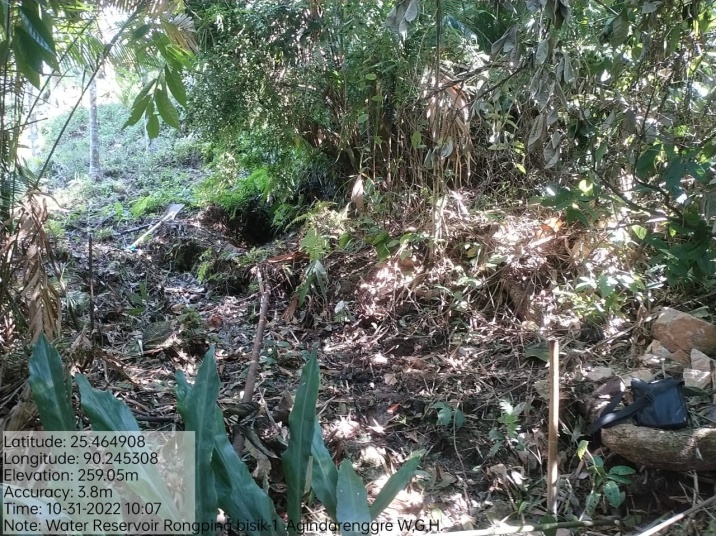 C:\Users\user\Desktop\Picture data base\Agindarenggre\Water reservoir Rongping Bisik-1 as on 31.10.2022\WhatsApp Image 2022-11-02 at 8.29.34 PM (1).jpeg